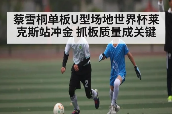 蔡雪桐单板U型场地世界杯莱克斯站冲金 抓板质量成关键 | kaiyun