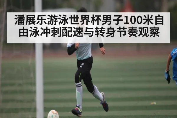 潘展乐游泳世界杯男子100米自由泳冲刺配速与转身节奏观察